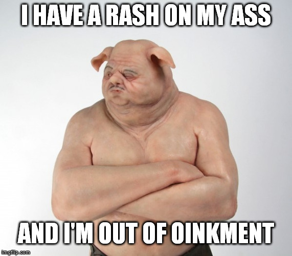 When your dad was a lonely pig farmer | I HAVE A RASH ON MY ASS; AND I'M OUT OF OINKMENT | image tagged in pig | made w/ Imgflip meme maker