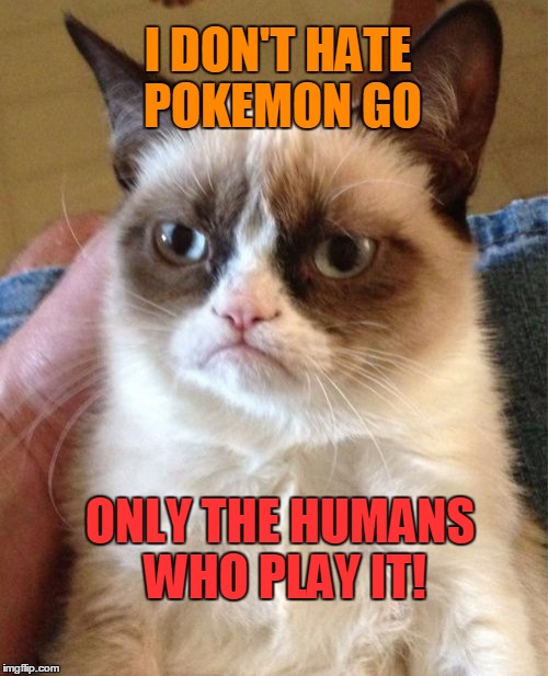 Grumpy Cat Meme | I DON'T HATE POKEMON GO ONLY THE HUMANS WHO PLAY IT! | image tagged in memes,grumpy cat | made w/ Imgflip meme maker