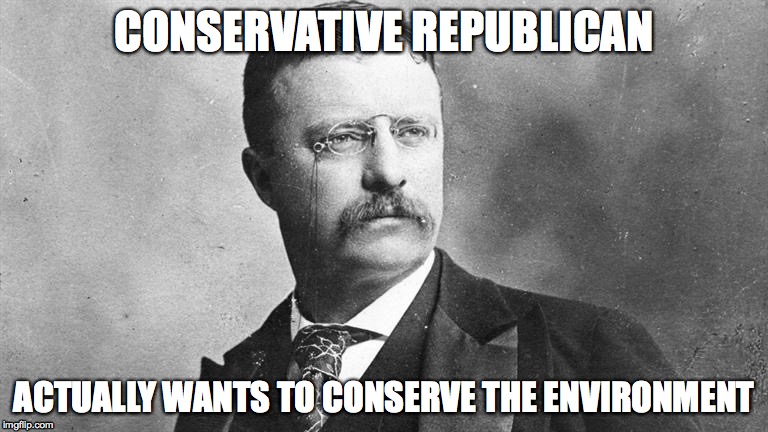 Actually conservative republican | CONSERVATIVE REPUBLICAN; ACTUALLY WANTS TO CONSERVE THE ENVIRONMENT | image tagged in actually conservative republican | made w/ Imgflip meme maker