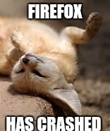 FIREFOX; HAS CRASHED | image tagged in fennec fox | made w/ Imgflip meme maker
