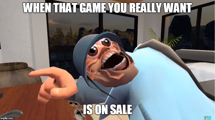 Isn't it the best feeling? | WHEN THAT GAME YOU REALLY WANT; IS ON SALE | image tagged in tf2,video games,funny memes | made w/ Imgflip meme maker
