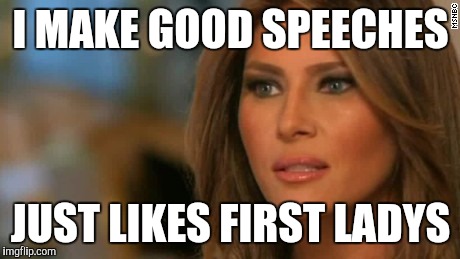 I not plagiarize.. | I MAKE GOOD SPEECHES; JUST LIKES FIRST LADYS | image tagged in donald trump | made w/ Imgflip meme maker