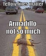 Yellow lines matter Armadillo not so much | made w/ Imgflip meme maker