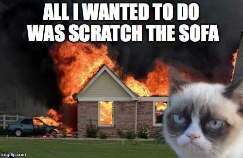 Burn Kitty Meme | ALL I WANTED TO DO WAS SCRATCH THE SOFA | image tagged in memes,burn kitty | made w/ Imgflip meme maker