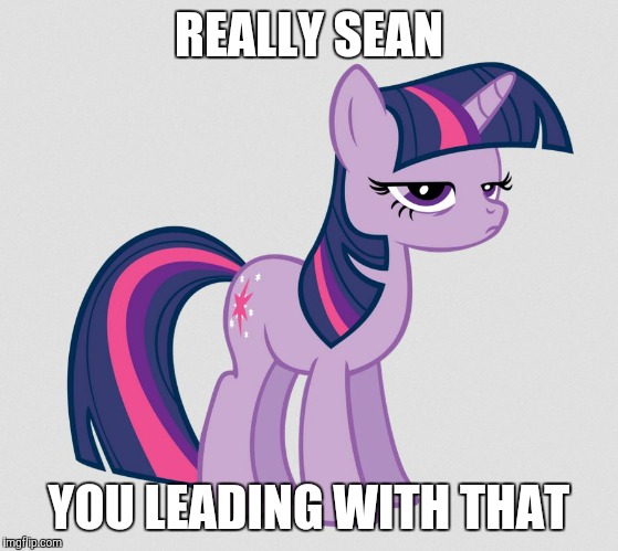 Twilight Sparkle unimpressed | REALLY SEAN; YOU LEADING WITH THAT | image tagged in twilight sparkle unimpressed | made w/ Imgflip meme maker