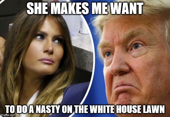 cover that  girl in chocolate syrup | SHE MAKES ME WANT; TO DO A NASTY ON THE WHITE HOUSE LAWN | image tagged in trump and melania,frank zappa | made w/ Imgflip meme maker