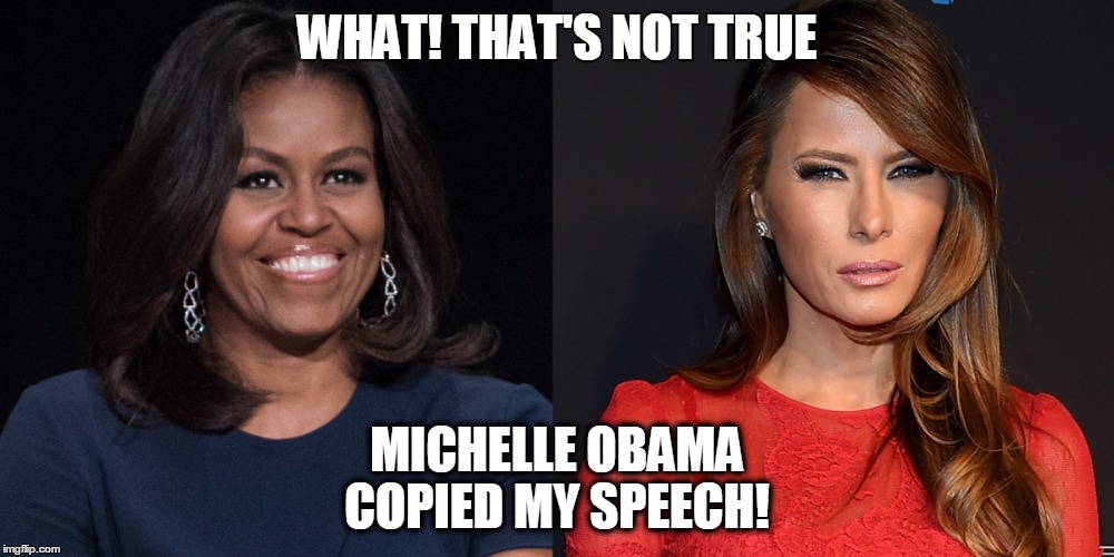 DONALD TRUMP | WHAT! THAT'S NOT TRUE; MICHELLE OBAMA COPIED MY SPEECH! | image tagged in rednecks,donald trump pointing,lies,white trash | made w/ Imgflip meme maker