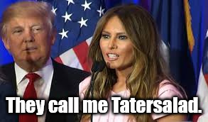 I don't plagiarize | They call me Tatersalad. | image tagged in trump 2016,melania trump,plagiarism | made w/ Imgflip meme maker