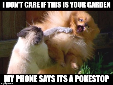 OMG Pokemon Go | I DON'T CARE IF THIS IS YOUR GARDEN; MY PHONE SAYS ITS A POKESTOP | image tagged in omg pokemon go | made w/ Imgflip meme maker