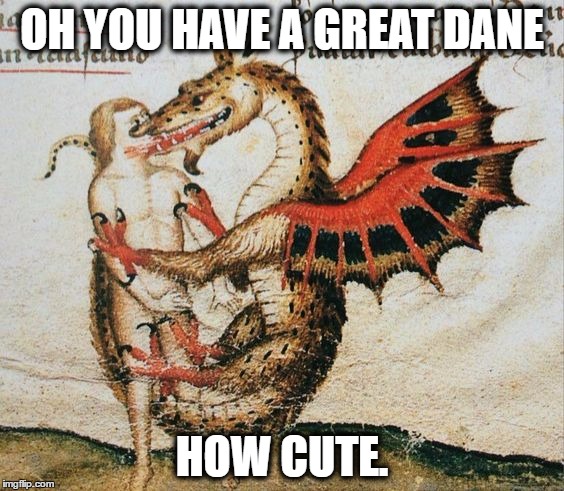 medieval | OH YOU HAVE A GREAT DANE; HOW CUTE. | image tagged in dogs | made w/ Imgflip meme maker