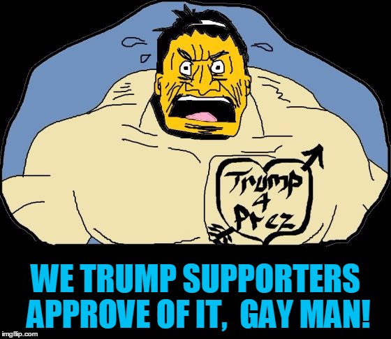 WE TRUMP SUPPORTERS APPROVE OF IT,  GAY MAN! | image tagged in trump supporter | made w/ Imgflip meme maker