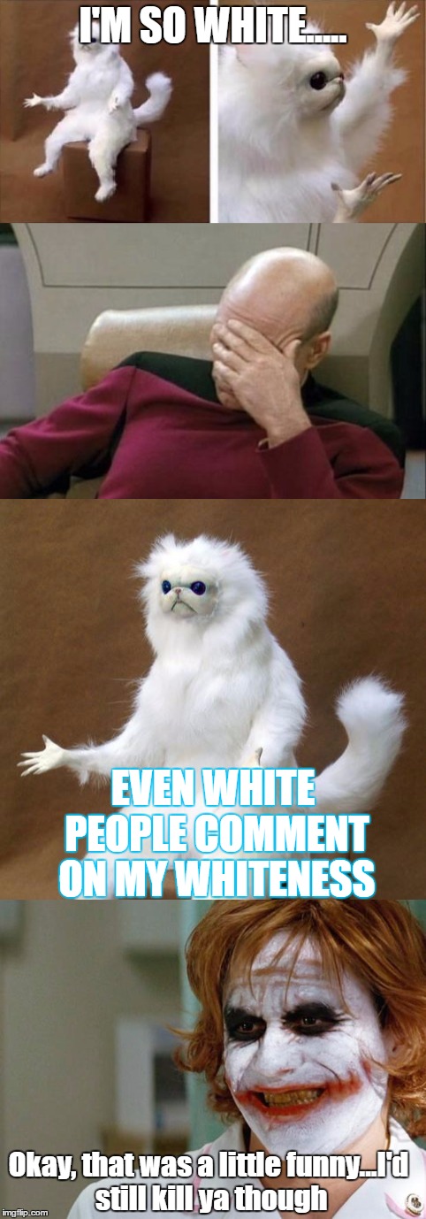 Wow... lol | I'M SO WHITE..... EVEN WHITE PEOPLE COMMENT ON MY WHITENESS; Okay, that was a little funny...I'd still kill ya though | image tagged in white,humor,funny,nerd | made w/ Imgflip meme maker