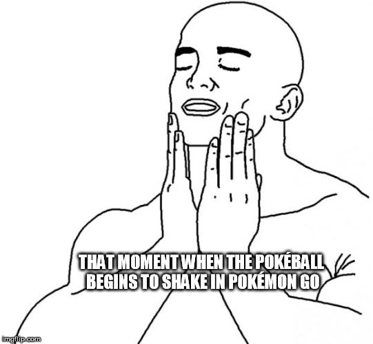 When Pokémon Go servers are laggy and you see a rare pokémon nearby and decide to go for it | THAT MOMENT WHEN THE POKÉBALL BEGINS TO SHAKE IN POKÉMON GO | image tagged in feels so good | made w/ Imgflip meme maker