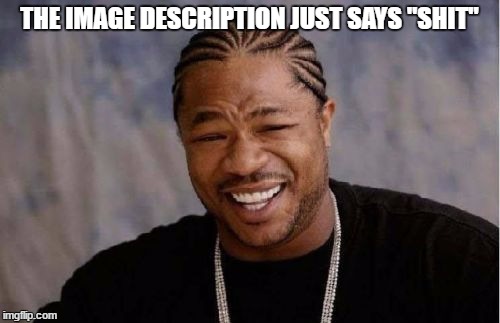 Yo Dawg Heard You Meme | THE IMAGE DESCRIPTION JUST SAYS "SHIT" | image tagged in memes,yo dawg heard you | made w/ Imgflip meme maker