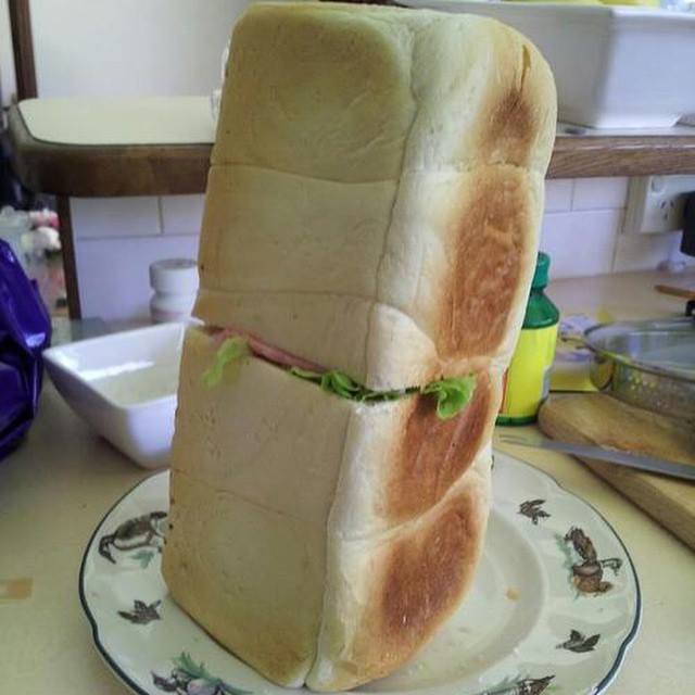 Sandwich gag Blank Meme Template