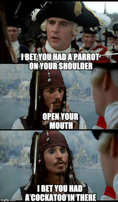 When You're Quick To Reply To An Insult | I BET YOU HAD A PARROT ON YOUR SHOULDER; OPEN YOUR MOUTH; I BET YOU HAD A COCKATOO IN THERE | image tagged in johnny depp,pirate,cheeky,funny memes | made w/ Imgflip meme maker