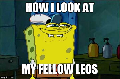 Don't You Squidward | HOW I LOOK AT; MY FELLOW LEOS | image tagged in memes,dont you squidward | made w/ Imgflip meme maker