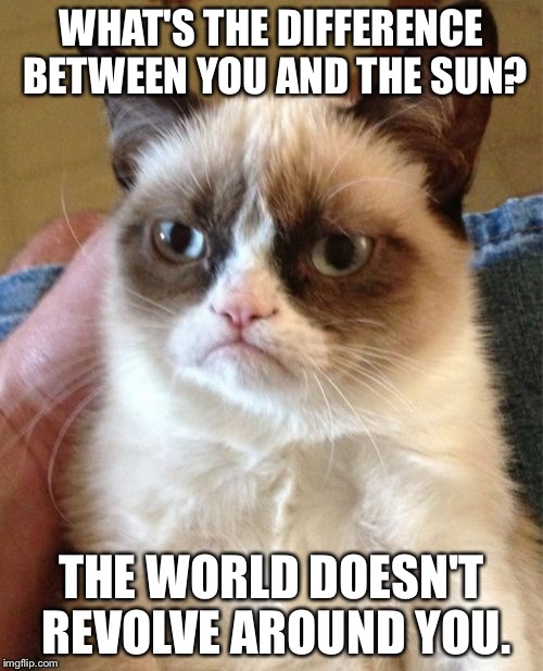 Grumpy Cat | WHAT'S THE DIFFERENCE BETWEEN YOU AND THE SUN? THE WORLD DOESN'T REVOLVE AROUND YOU. | image tagged in memes,grumpy cat | made w/ Imgflip meme maker