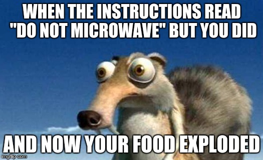 memez scrat |  WHEN THE INSTRUCTIONS READ "DO NOT MICROWAVE" BUT YOU DID; AND NOW YOUR FOOD EXPLODED | image tagged in memes | made w/ Imgflip meme maker