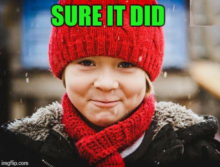 smirk | SURE IT DID | image tagged in smirk | made w/ Imgflip meme maker