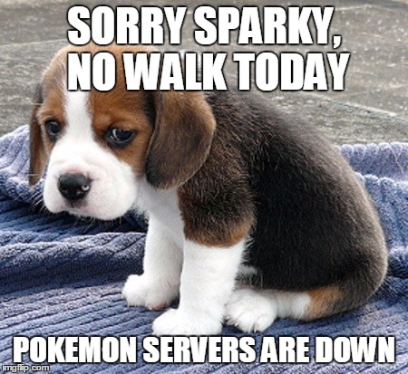 SORRY SPARKY, NO WALK TODAY; POKEMON SERVERS ARE DOWN | image tagged in pokemongo | made w/ Imgflip meme maker
