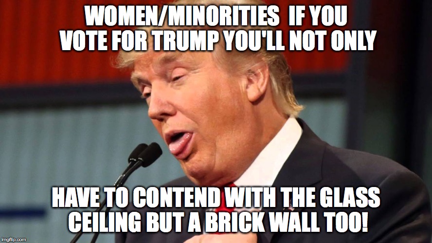 WOMEN/MINORITIES  IF YOU VOTE FOR TRUMP YOU'LL NOT ONLY; HAVE TO CONTEND WITH THE GLASS CEILING BUT A BRICK WALL TOO! | image tagged in trump that | made w/ Imgflip meme maker