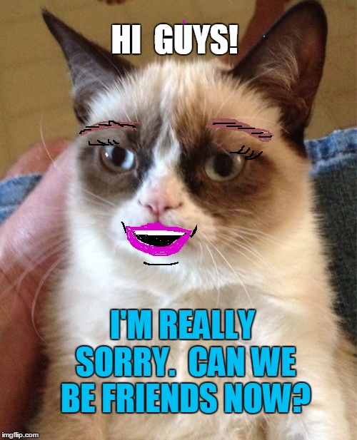 Grumpy Cat Meme | HI  GUYS! I'M REALLY SORRY.  CAN WE BE FRIENDS NOW? | image tagged in memes,grumpy cat | made w/ Imgflip meme maker