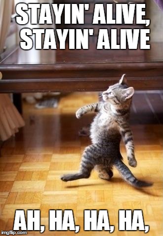 Cool Cat Stroll | STAYIN' ALIVE, STAYIN' ALIVE; AH, HA, HA, HA, | image tagged in memes,cool cat stroll | made w/ Imgflip meme maker