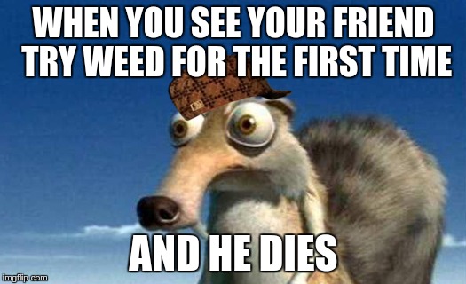 memez scrat |  WHEN YOU SEE YOUR FRIEND TRY WEED FOR THE FIRST TIME; AND HE DIES | image tagged in memes | made w/ Imgflip meme maker
