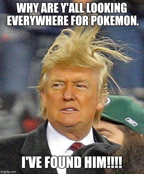 Donald Trumph hair | WHY ARE Y'ALL LOOKING EVERYWHERE FOR POKEMON. I'VE FOUND HIM!!!! | image tagged in donald trumph hair | made w/ Imgflip meme maker