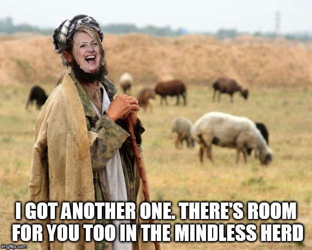 Hillary Sheep Herder | I GOT ANOTHER ONE. THERE'S ROOM FOR YOU TOO IN THE MINDLESS HERD | image tagged in hillary sheep herder | made w/ Imgflip meme maker