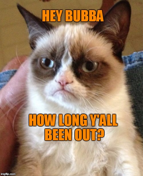 Grumpy Cat Meme | HEY BUBBA HOW LONG Y'ALL BEEN OUT? | image tagged in memes,grumpy cat | made w/ Imgflip meme maker