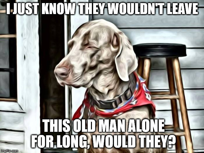 I JUST KNOW THEY WOULDN'T LEAVE; THIS OLD MAN ALONE FOR LONG, WOULD THEY? | image tagged in ok | made w/ Imgflip meme maker