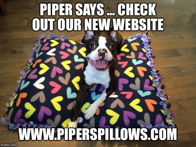 Check it out | PIPER SAYS ... CHECK OUT OUR NEW WEBSITE; WWW.PIPERSPILLOWS.COM | made w/ Imgflip meme maker