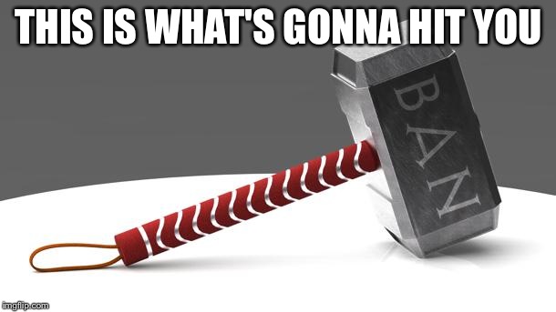 Da Banhammer | THIS IS WHAT'S GONNA HIT YOU | image tagged in da banhammer | made w/ Imgflip meme maker