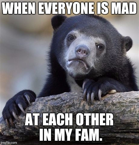 Confession Bear Meme | WHEN EVERYONE IS MAD; AT EACH OTHER IN MY FAM. | image tagged in memes,confession bear | made w/ Imgflip meme maker