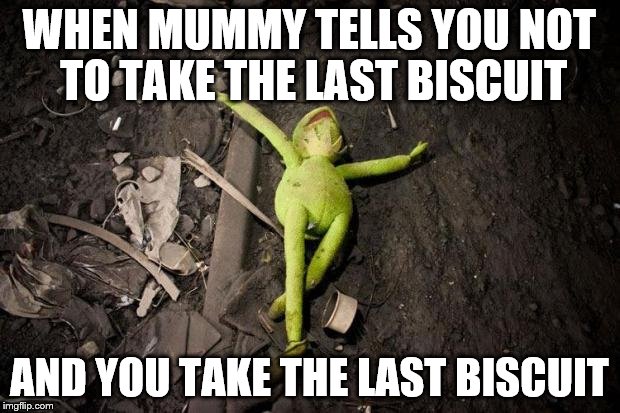 kermit dead | WHEN MUMMY TELLS YOU NOT TO TAKE THE LAST BISCUIT; AND YOU TAKE THE LAST BISCUIT | image tagged in kermit dead | made w/ Imgflip meme maker