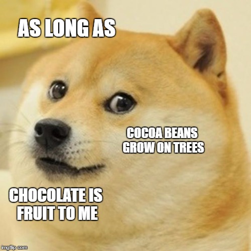 fuit | AS LONG AS; COCOA BEANS GROW ON TREES; CHOCOLATE IS FRUIT TO ME | image tagged in memes,doge | made w/ Imgflip meme maker