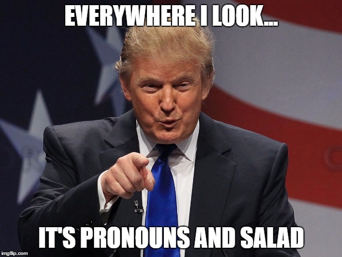 Donald trump | EVERYWHERE I LOOK... IT'S PRONOUNS AND SALAD | image tagged in donald trump | made w/ Imgflip meme maker