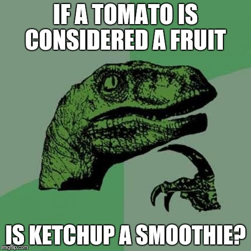 Philosoraptor | IF A TOMATO IS CONSIDERED A FRUIT; IS KETCHUP A SMOOTHIE? | image tagged in memes,philosoraptor | made w/ Imgflip meme maker
