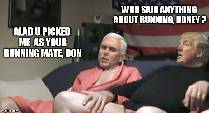 running mates | WHO SAID ANYTHING ABOUT RUNNING, HONEY ? GLAD U PICKED ME  AS YOUR RUNNING MATE, DON | image tagged in mike pence,donald trump,trump,trump 2016,pence,donald drumpf | made w/ Imgflip meme maker