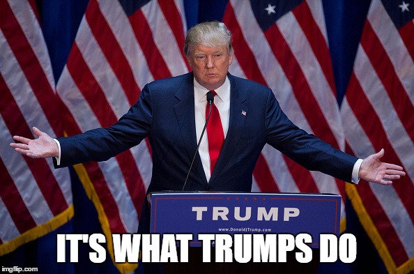 Trump Bruh | IT'S WHAT TRUMPS DO | image tagged in trump bruh | made w/ Imgflip meme maker