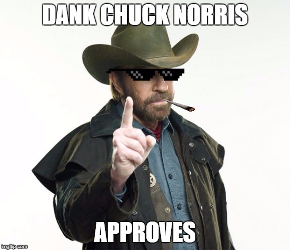 DANK CHUCK NORRIS APPROVES | image tagged in dank chuck norris | made w/ Imgflip meme maker