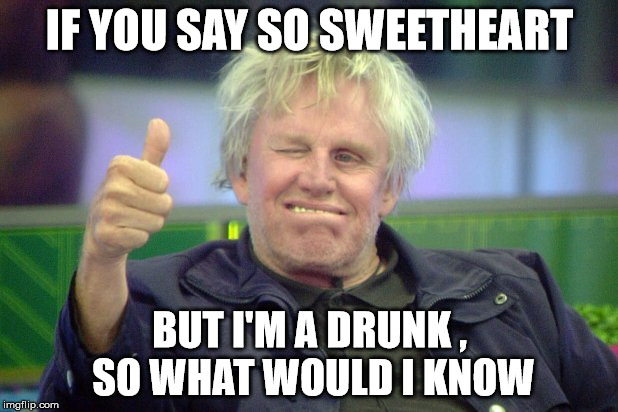 gary busey | IF YOU SAY SO SWEETHEART; BUT I'M A DRUNK , SO WHAT WOULD I KNOW | image tagged in drunk | made w/ Imgflip meme maker