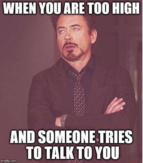 Face You Make Robert Downey Jr Meme |  WHEN YOU ARE TOO HIGH; AND SOMEONE TRIES TO TALK TO YOU | image tagged in memes,face you make robert downey jr | made w/ Imgflip meme maker