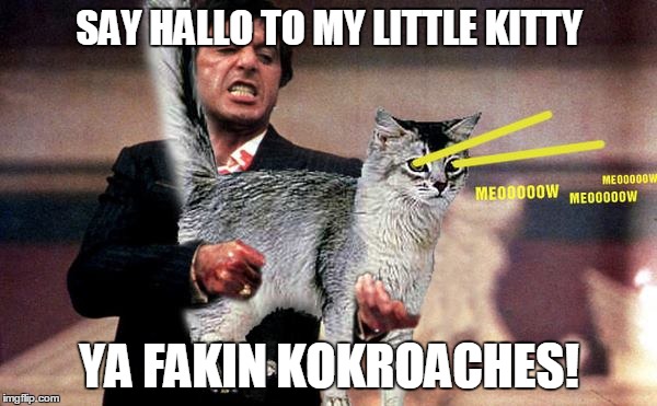 ya want ta play ruf, huh? | SAY HALLO TO MY LITTLE KITTY; YA FAKIN KOKROACHES! | image tagged in scarface,kitty | made w/ Imgflip meme maker