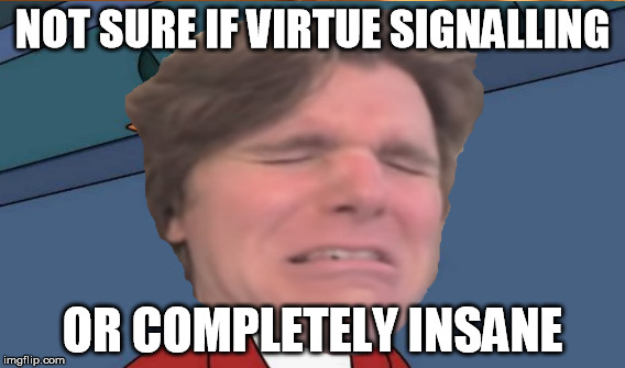 Pondering about onision | NOT SURE IF VIRTUE SIGNALLING; OR COMPLETELY INSANE | image tagged in onision | made w/ Imgflip meme maker