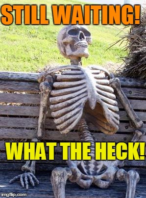Waiting Skeleton Meme | STILL WAITING! WHAT THE HECK! | image tagged in memes,waiting skeleton | made w/ Imgflip meme maker