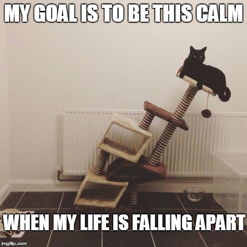 My Ultimate Goal | MY GOAL IS TO BE THIS CALM; WHEN MY LIFE IS FALLING APART | image tagged in funny,memes,funny memes,life,cats,goal | made w/ Imgflip meme maker