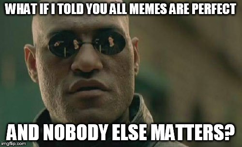 Matrix Morpheus Meme | WHAT IF I TOLD YOU ALL MEMES ARE PERFECT AND NOBODY ELSE MATTERS? | image tagged in memes,matrix morpheus | made w/ Imgflip meme maker